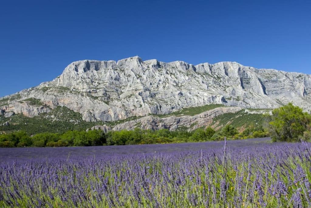 Le Petit Charrier Lägenhet Aix-en-Provence Exteriör bild